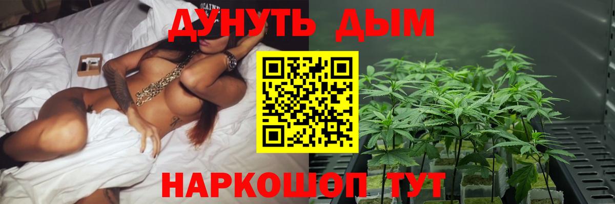 Канабис AK-47  Вход с VPN  Канабис Bruce Banner  Шишки марихуана White Widow  Димитровград 